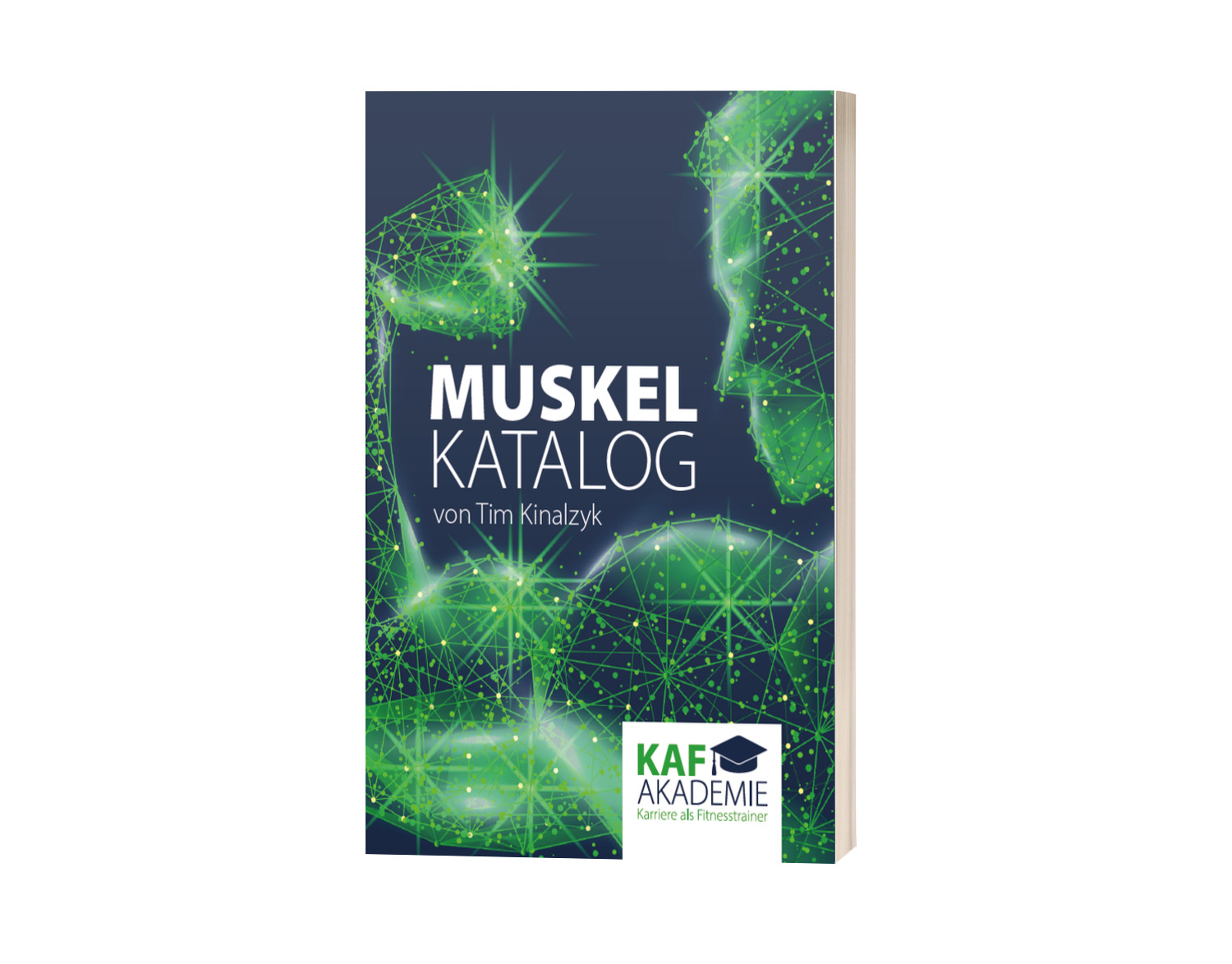 Muskelkatalog