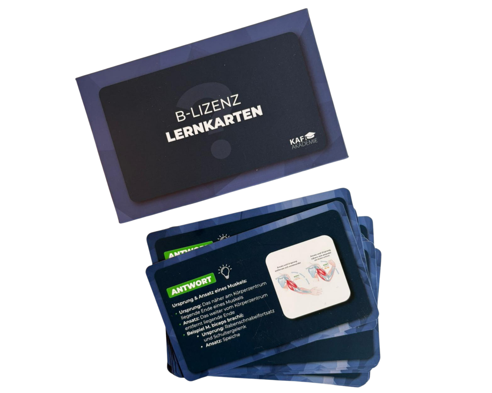 Lernkarten Fitnesstrainer B-Lizenz