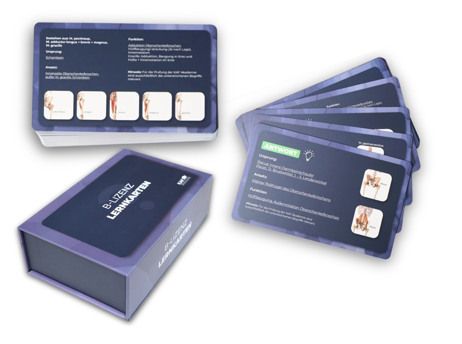 Lernkarten Fitnesstrainer B-Lizenz
