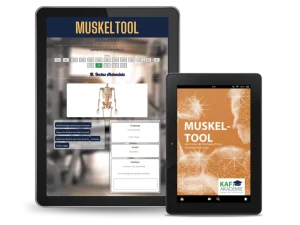 Muskeltool