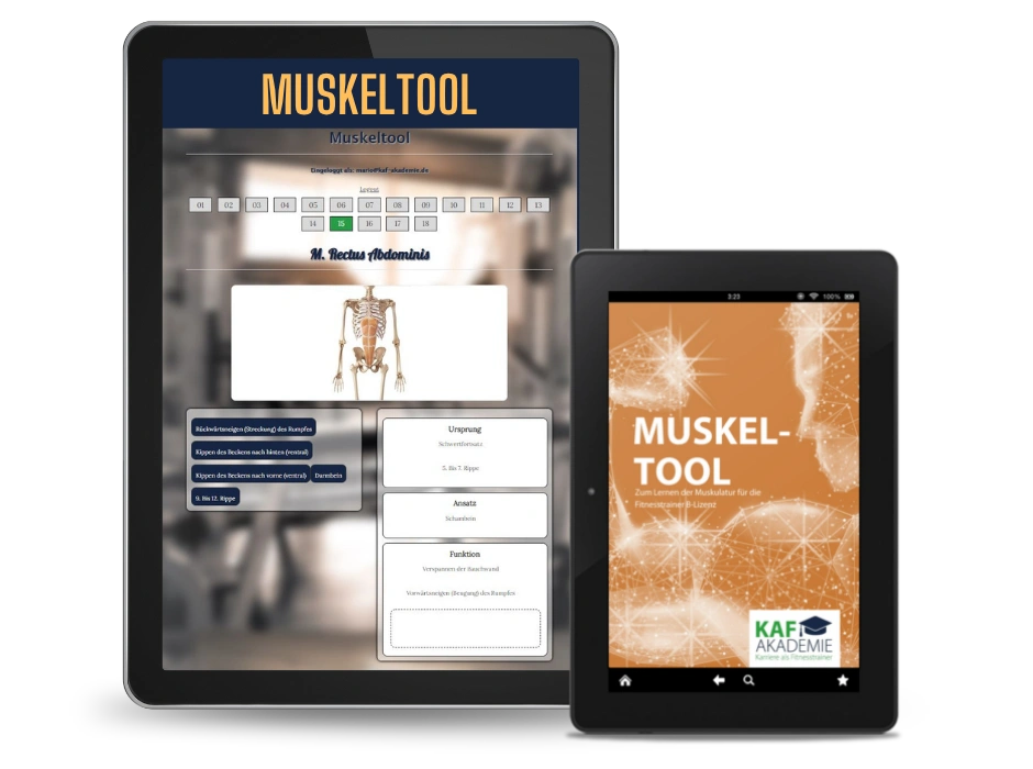 Muskeltool