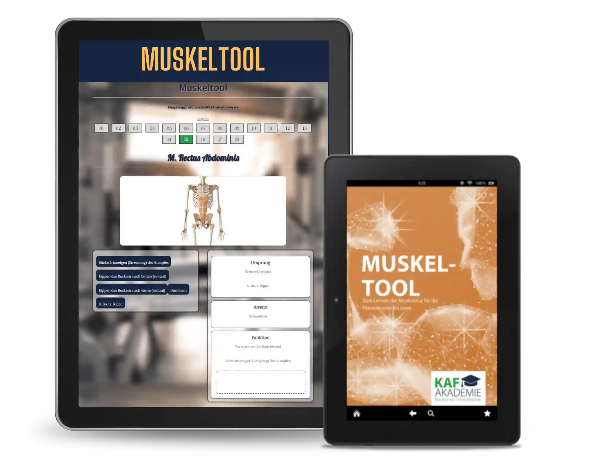 Muskeltool